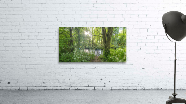 Spring woodland Wall Preview