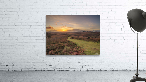 New Forest Sunset Wall Preview