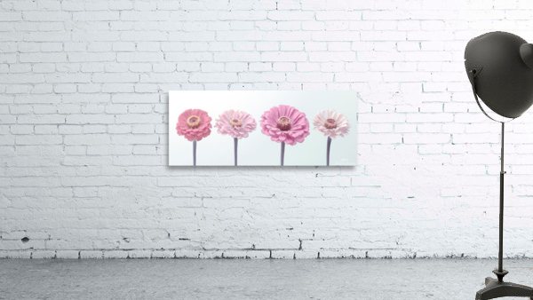 Vibrant Harmony Wall Preview