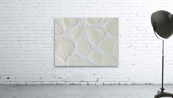 Skeleton Leaves Wall Preview