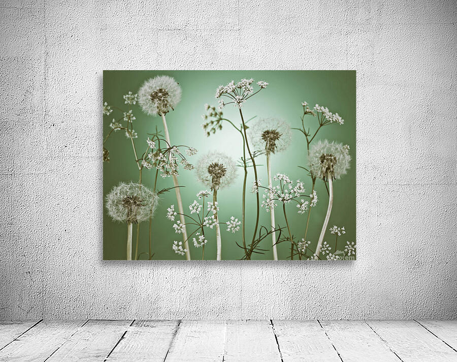 Meadow Flowers Wall Preview