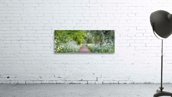 Woodland spring path Wall Preview