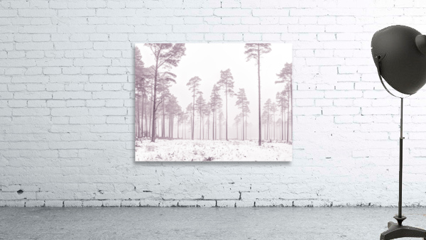 Snowy Forest Wall Preview