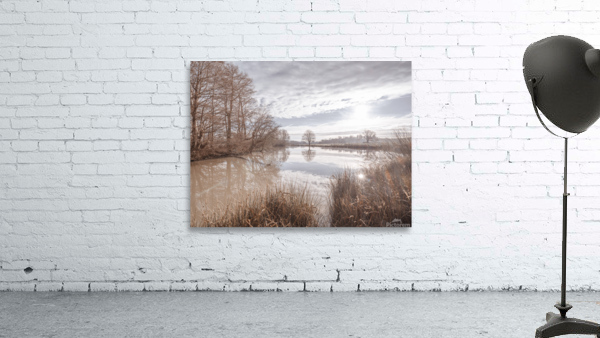 Pond reflection Wall Preview