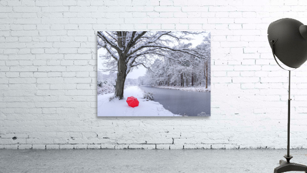 Oak tree and umbrella Wall Preview