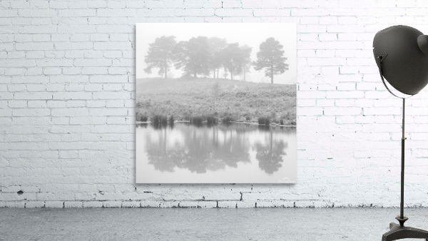 Mystical Reflections Wall Preview