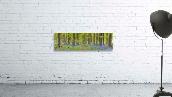 Pathway through Trees Wall Preview