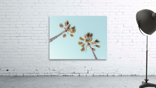 Palm trees Wall Preview