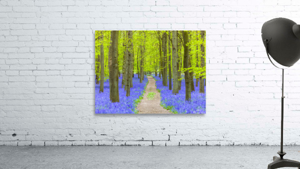 Bluebell Path Wall Preview