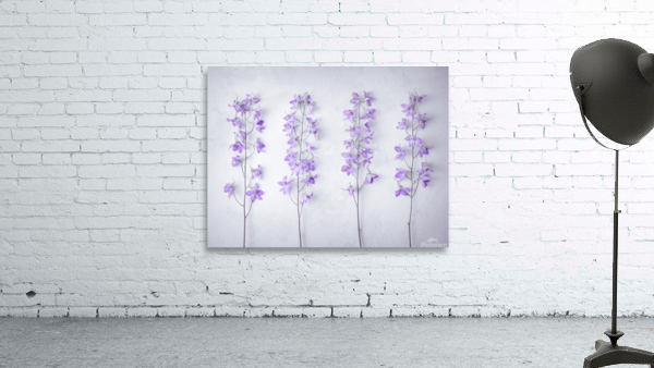 Delphiniums Wall Preview