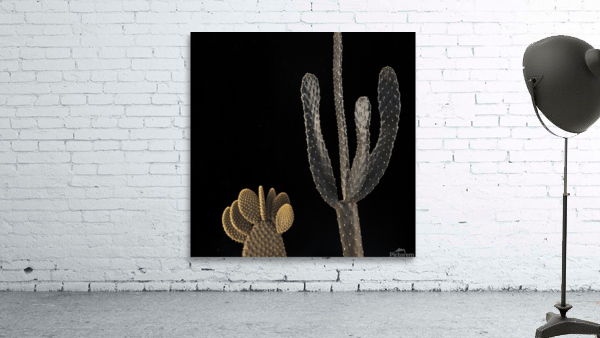 Cactus plants Wall Preview