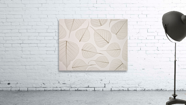 Skeleton leaves Wall Preview