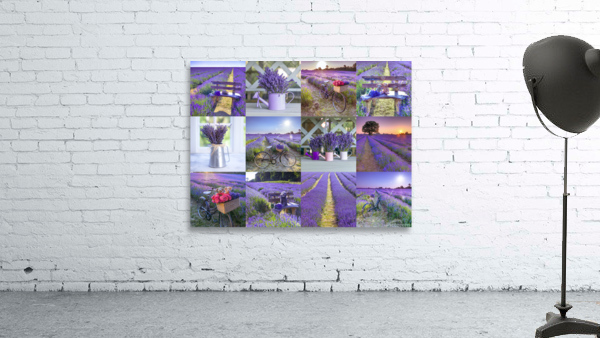 Lavender Collage Wall Preview