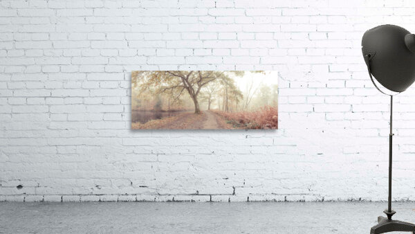Misty forest Wall Preview