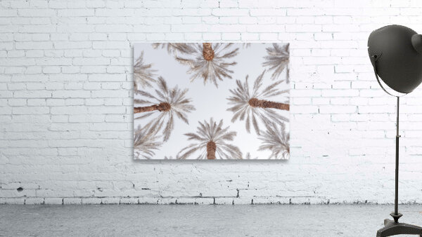Palm Tops Wall Preview