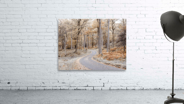 Make Your Own Path Wall Preview