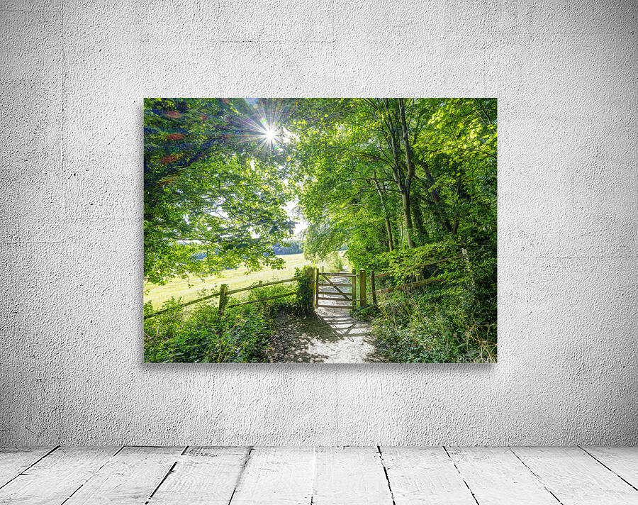 Forest Gate Wall Preview