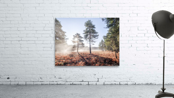 Enchanted Misty Forest Wall Preview