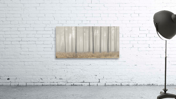 Enigmatic Elegance Wall Preview