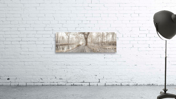 Misty Forest Wall Preview
