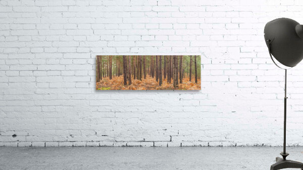Autumn forest Wall Preview