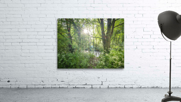 Spring woodland Wall Preview