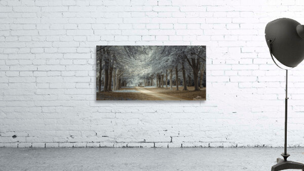 Woodsy Pathway Wall Preview
