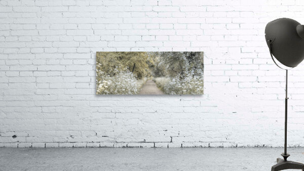 Woodland spring path Wall Preview