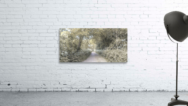 Woodland spring path Wall Preview