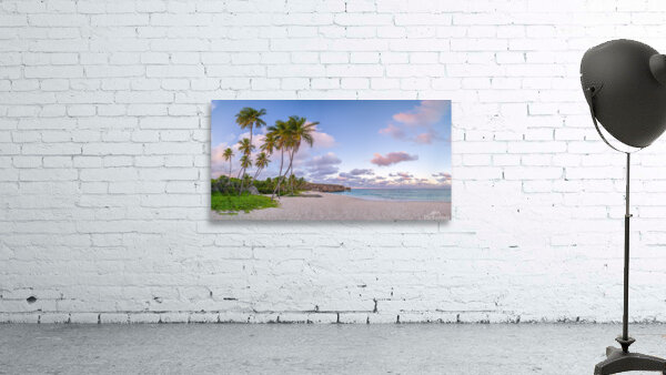 Serene Barbados Evening Wall Preview