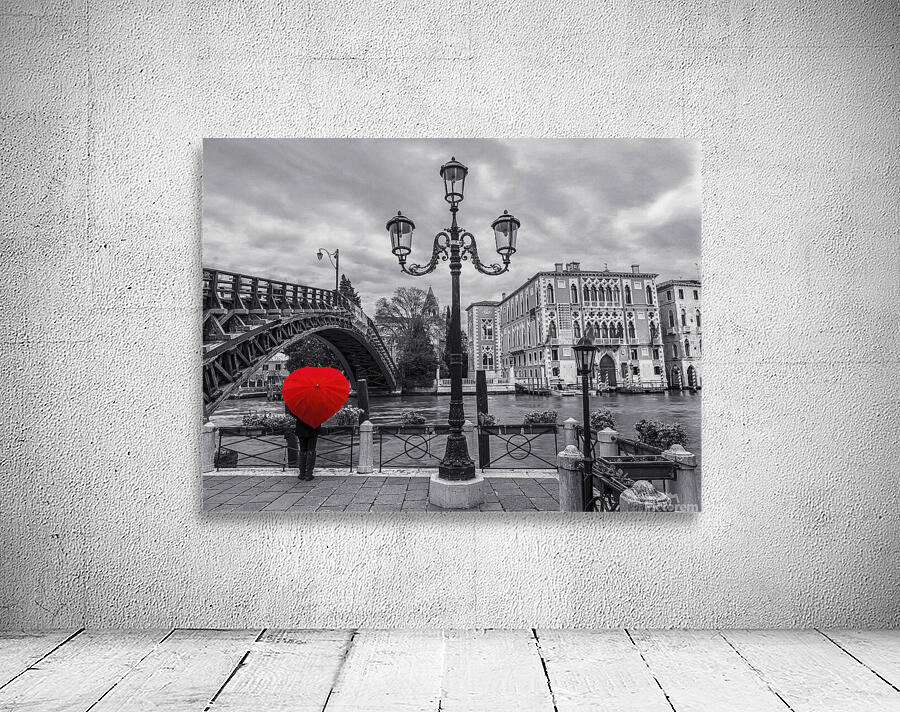 Accademia Bridge Venice Wall Preview