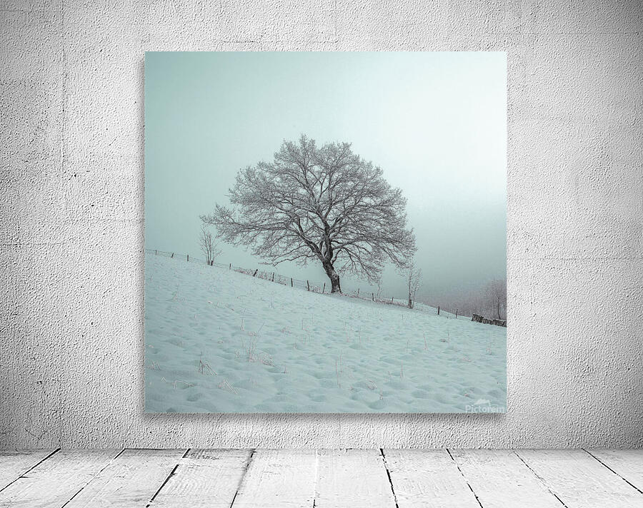 Winter Solitude Wall Preview