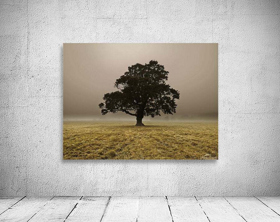 Single Tree Wall Preview