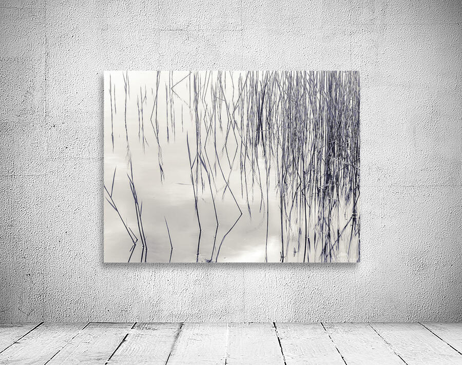 Lake Reflections Wall Preview