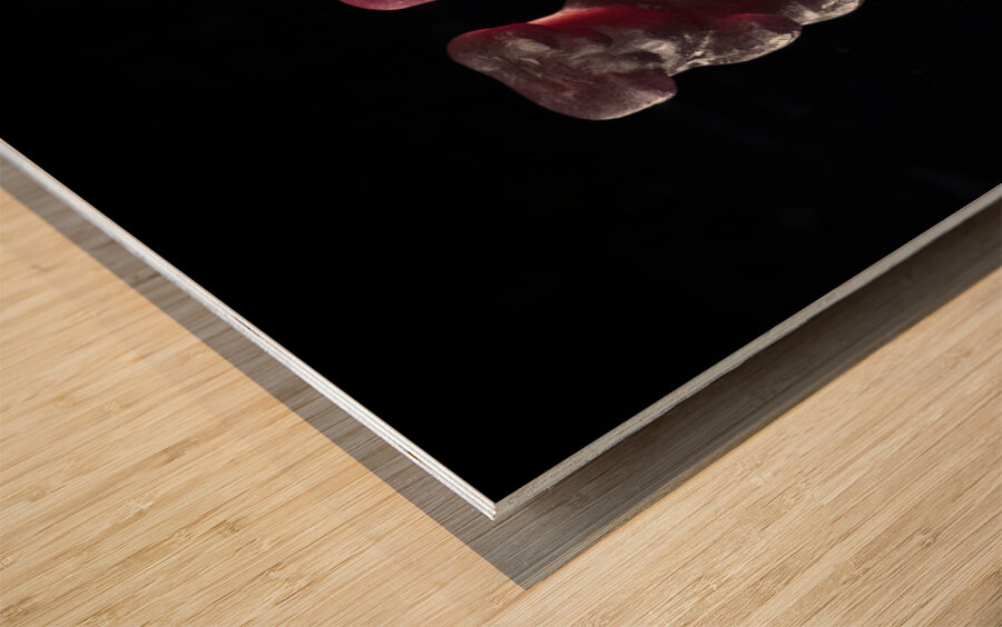 Jelly bears Wood print