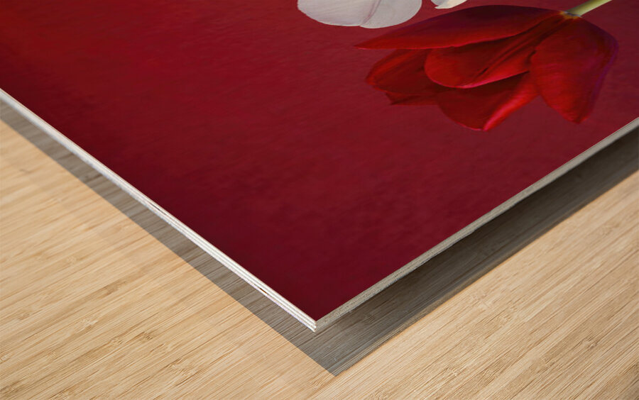 Tulips in a row Wood print