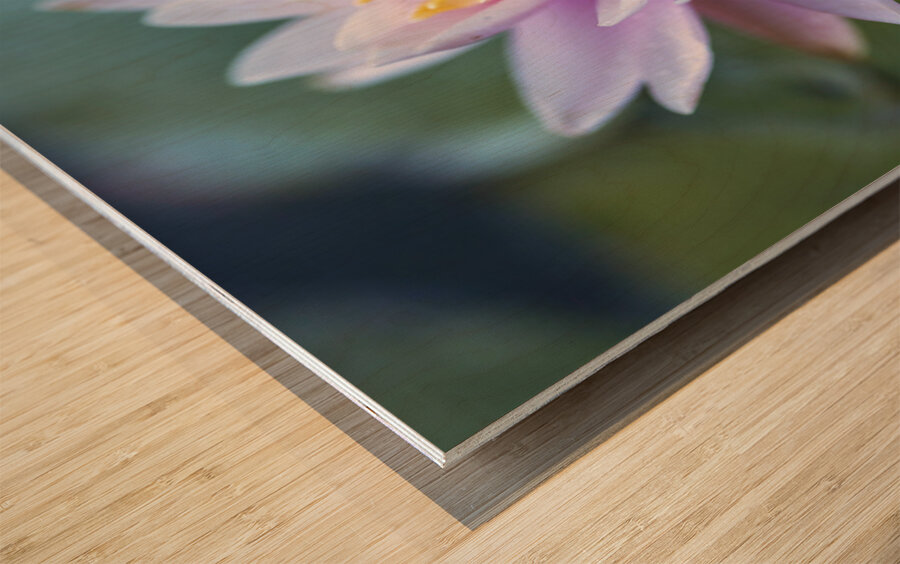 Gentle Grace Wood print