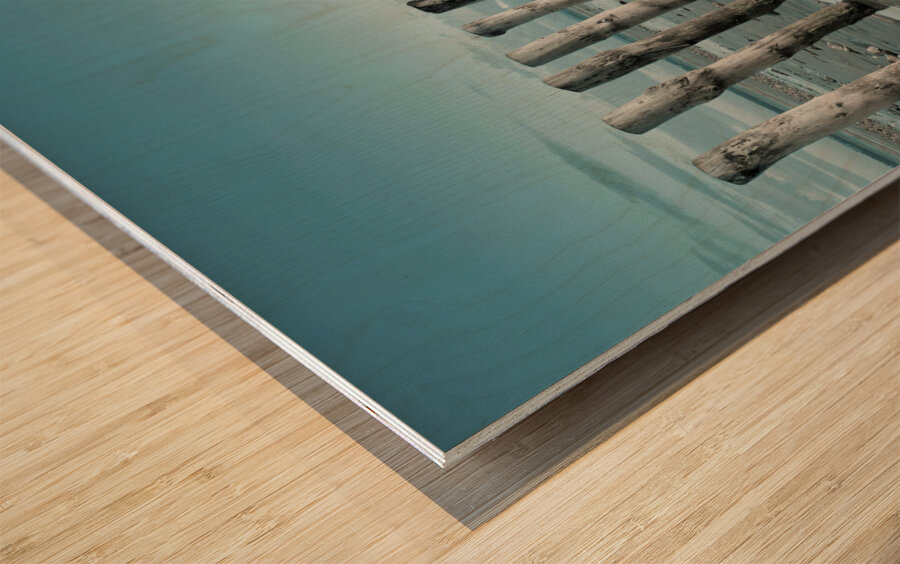 Groynes on beach Wood print