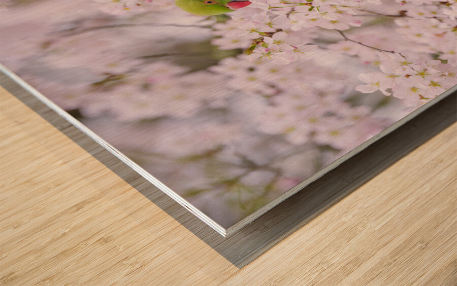 Blossom Bird Wood print