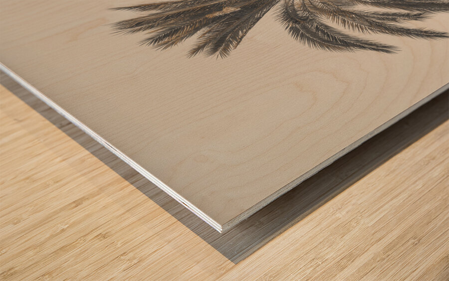 Palm Tree Wood print