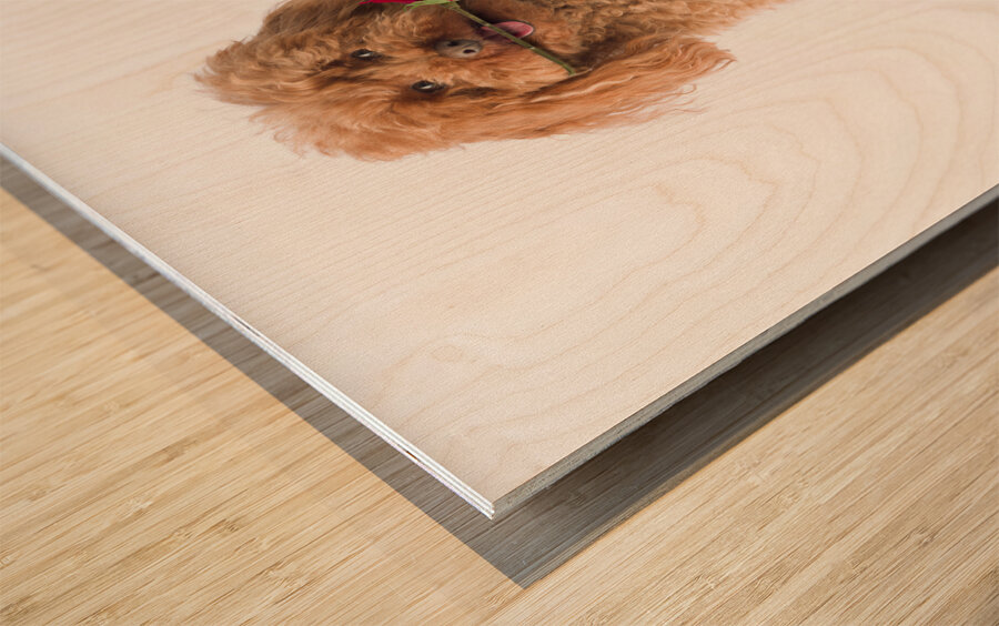 This is for you Wood print