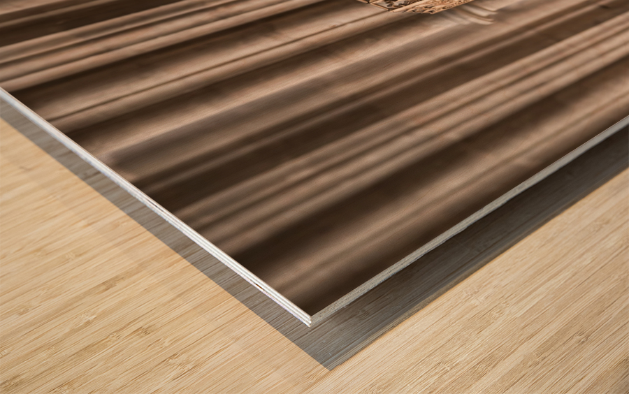 Architectural details in cathedral Wood print