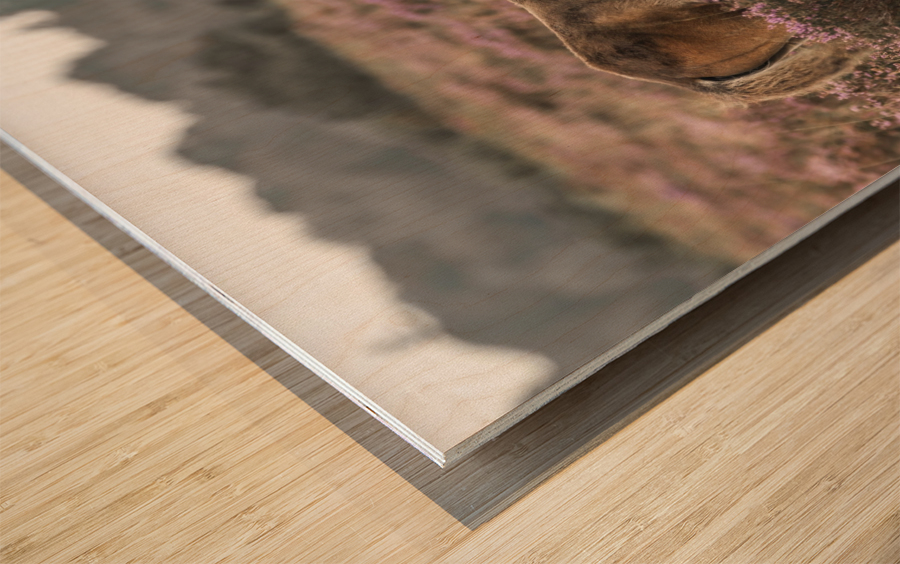 Wild Horses, New Forest Wood print