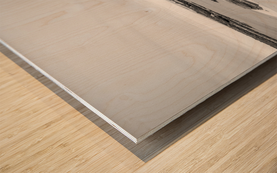 Rock pools on a sandy beach Wood print