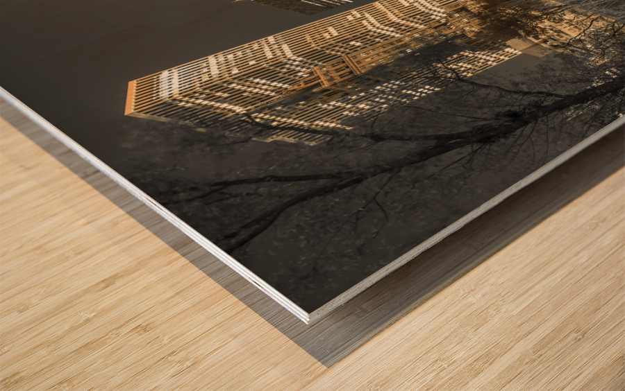 Evening view of Central Park in New York City Wood print