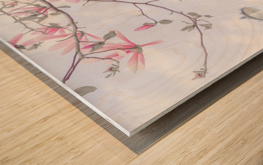 Magnolia flowers Wood print
