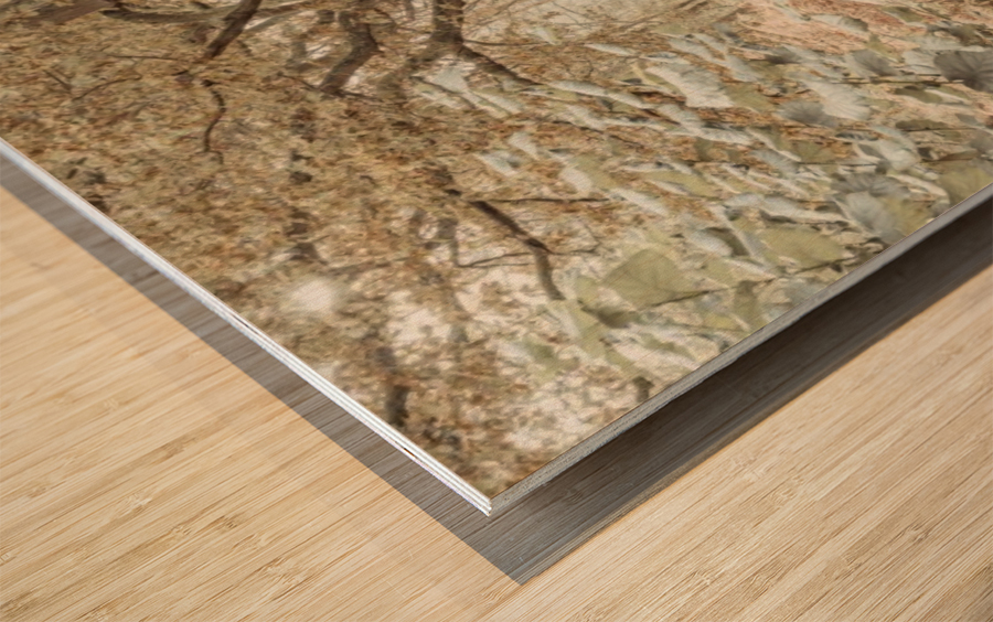 Canal through a forest Wood print