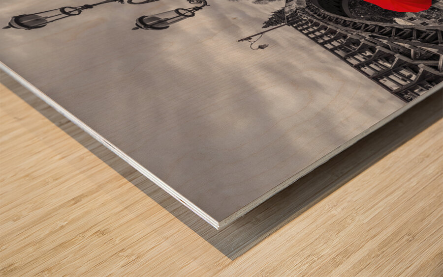 Accademia Bridge Venice Wood print