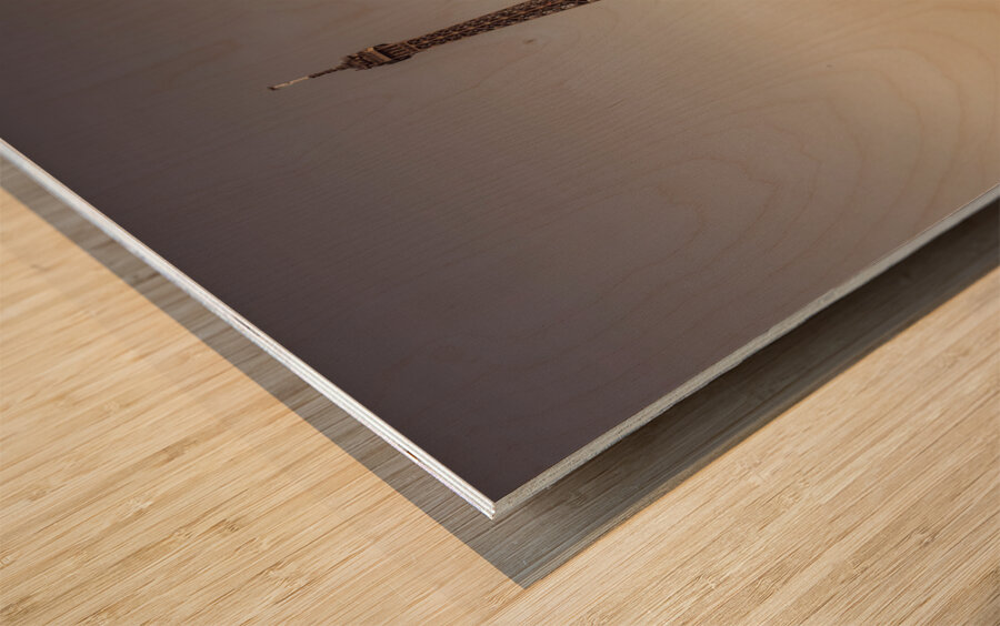 Eiffel Tower Wood print