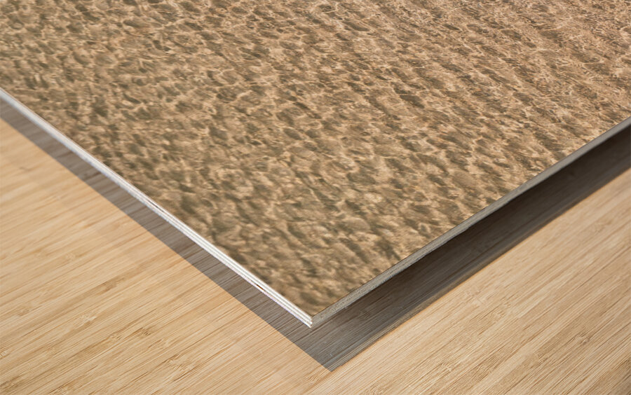 Shallow Waters Wood print